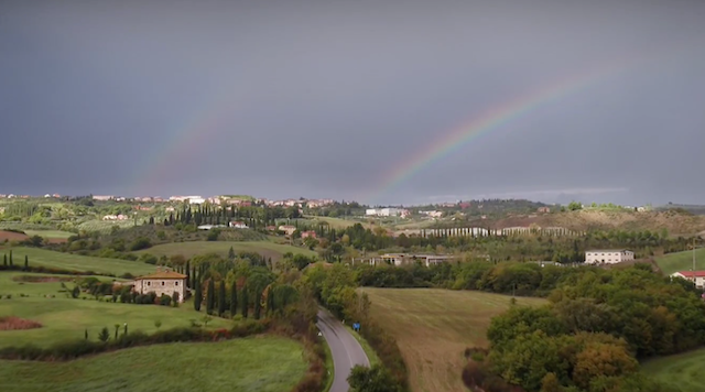 WIDM renaissance, regenbogen